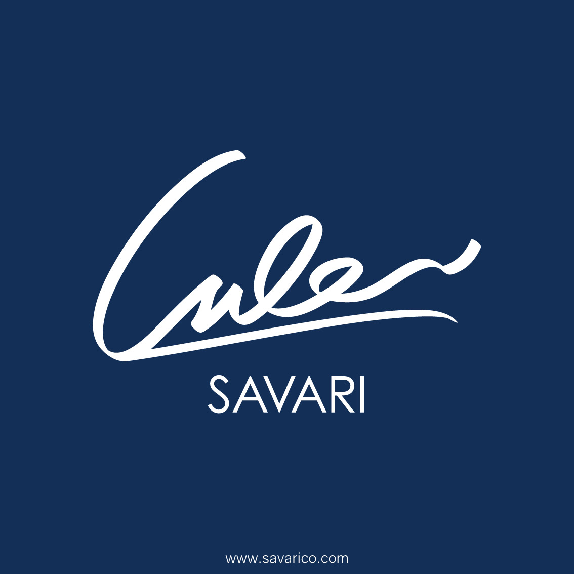 ژورنال جلد چرمی به همراه خودکار و دفترچه یادداشت قابل تعویض برند سواری SAVARI ( مدل S-۲۲ )